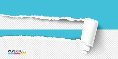 Vector half empty torn paper curled in scroll with rip hole edges on a Stock Illustration