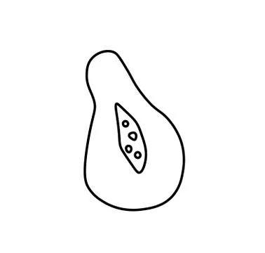 Vector half of pumpkin with a black line.Simple food and cooking Stock Illustration