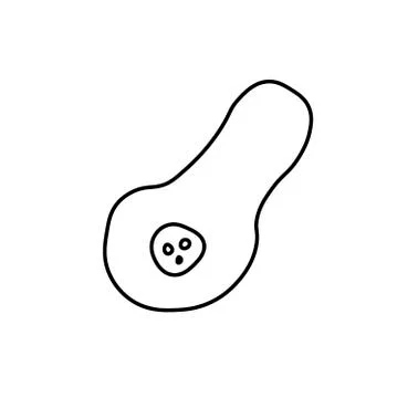 Vector half of pumpkin with a black line.Simple food and cooking Stock Illustration