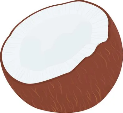 Vector half of tropical fruit coconut isolated on white Illustrazione stock