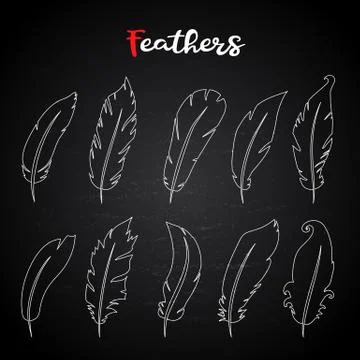 Vector hand draw fethers set in doodle style,isolated Stock Illustration