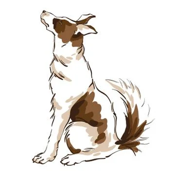 Vector hand draw illustration of cute dog on white background Stock Illustration