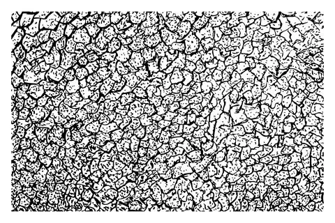 Vector hand draw sketch, cracked backround, isolated on white Stock Illustration