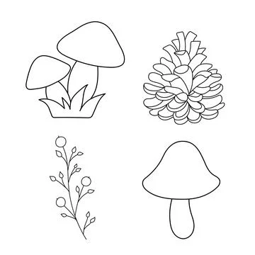 Vector hand drawn autumn elements. Cone, mushrooms, botanical branch. Outline Stock Illustration