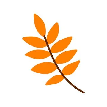 Vector hand drawn Autumn leaf isolated on white background. Decorative doodle Stock Illustration