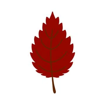 Vector hand drawn Autumn leaf isolated on white background. Decorative doodle Stock Illustration