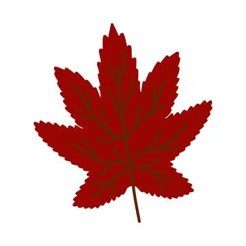 Vector hand drawn Autumn leaf isolated on white background. Decorative doodle Stock Illustration