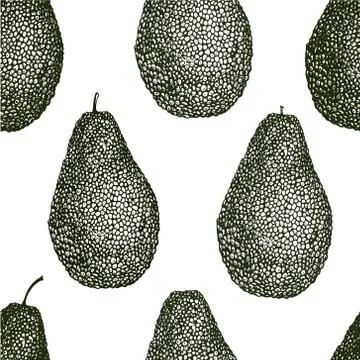 Vector hand drawn avocado seamless pattern. Whole avocado. Retro style Stock Illustration