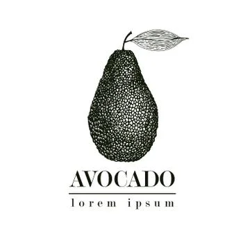 Vector hand drawn avocado. Tropical summer fruit retro style illustration Stock Illustration
