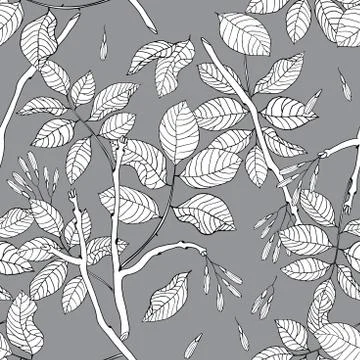 Vector hand drawn black and white floral seamless pattern of ash tree Stock Illustration