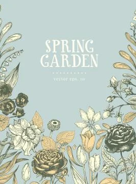 Vector hand drawn botanical banner. Vintage illustration. Vector design template Stock Illustration