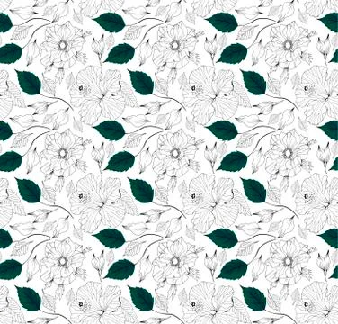 Vector hand drawn botanical seamless pattern Stock Illustration