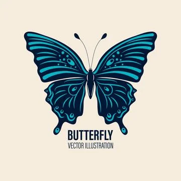 Vector Hand Drawn Butterfly Icon Closeup Isolated on White Background. Butterfly Stock Illustration