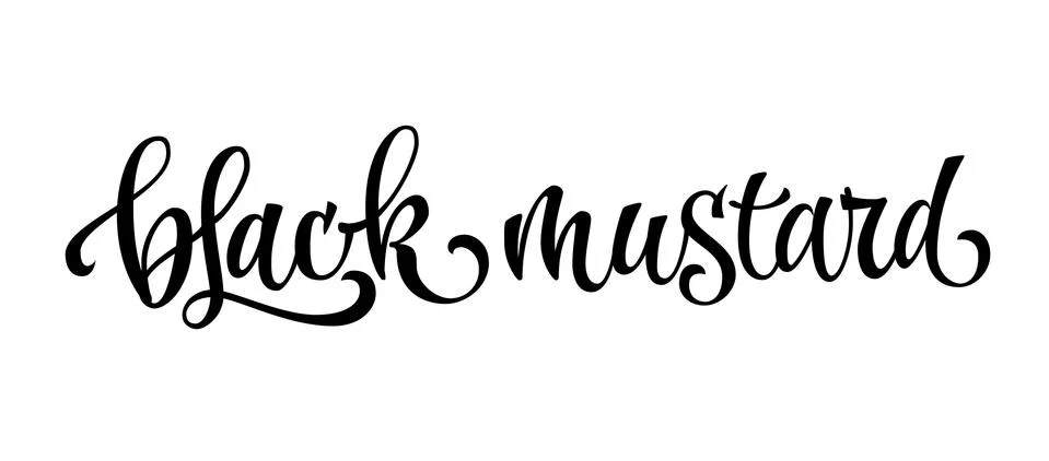 Vector hand drawn calligraphy style lettering word - Black mustard. Stock Illustration