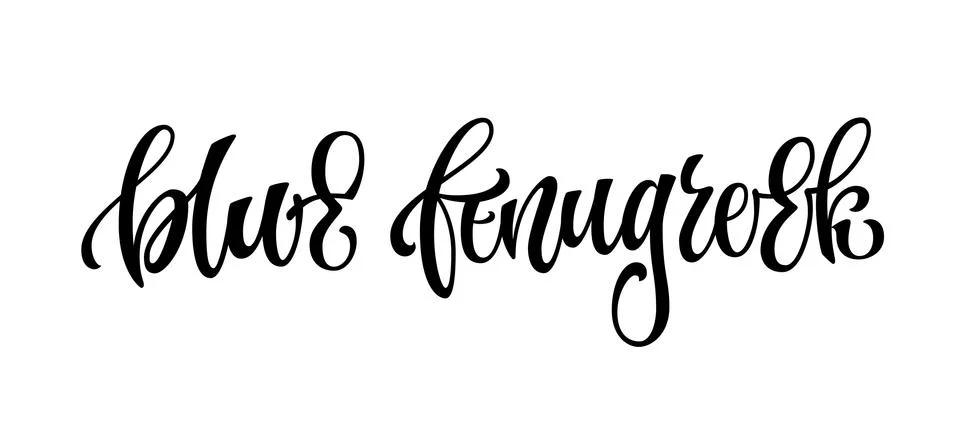 Vector hand drawn calligraphy style lettering word - blue fenugreek. Stock Illustration