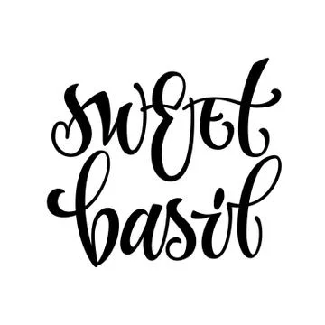 Vector hand drawn calligraphy style lettering word - sweet basil. Stock Illustration