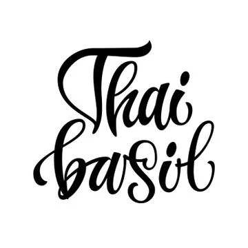 Vector hand drawn calligraphy style lettering word - thai basil. Illustrazione stock