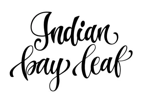 Vector hand drawn calligraphy style lettering word - indian bay leaf. Stock Illustration