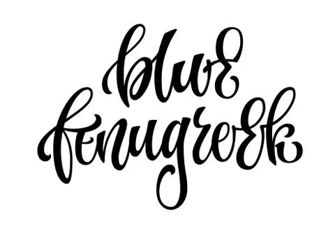 Vector hand drawn calligraphy style lettering word - Blue fenugreek Stock Illustration