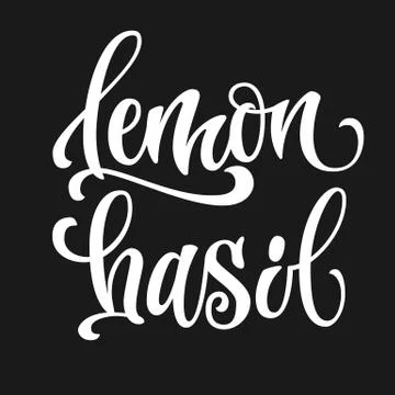 Vector hand drawn calligraphy style lettering word - Lemon basil. Stock Illustration