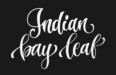 Vector hand drawn calligraphy style lettering word - Indian bay leaf. Stock Illustration