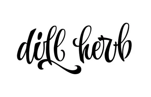 Vector hand drawn calligraphy style lettering word - dill herb. Stock Illustration