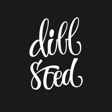 Vector hand drawn calligraphy style lettering word - Dill seed. Stock Illustration