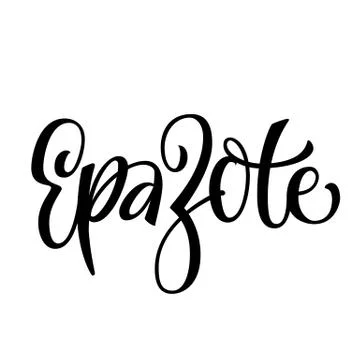 Vector hand drawn calligraphy style lettering word - epazote. Stock Illustration