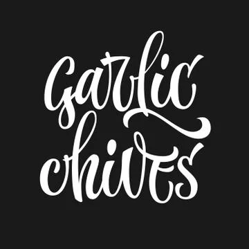 Vector hand drawn calligraphy style lettering word - garlic chives. Stock Illustration