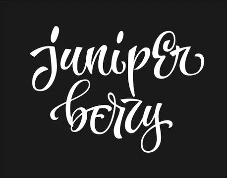 Vector hand drawn calligraphy style lettering word - juniper berry. Stock Illustration
