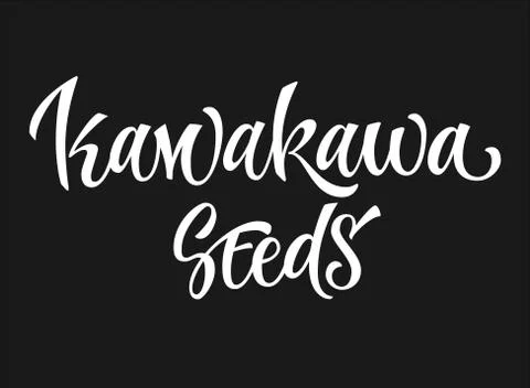 Vector hand drawn calligraphy style lettering word - kawakawa seeds. Stock Illustration