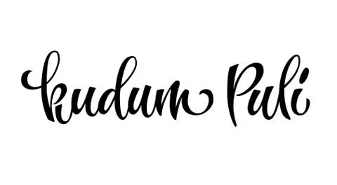 Vector hand drawn calligraphy style lettering word - kudum Puli. Stock Illustration