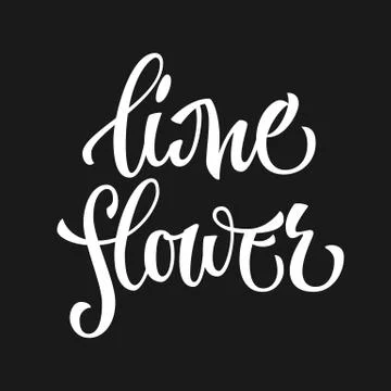Vector hand drawn calligraphy style lettering word - Lime flower. Stock Illustration