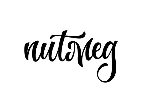 Vector hand drawn calligraphy style lettering word - Nutmeg. Stock Illustration
