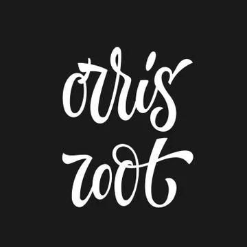 Vector hand drawn calligraphy style lettering word - Orris root Stock Illustration