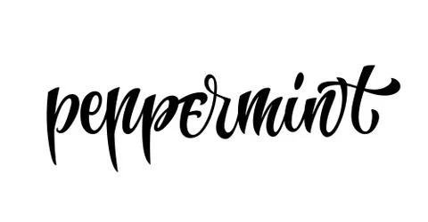 Vector hand drawn calligraphy style lettering word - Peppermint. Stock Illustration