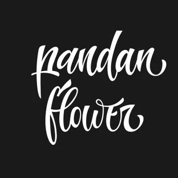 Vector hand drawn calligraphy style lettering word - Pandan flower. Stock Illustration