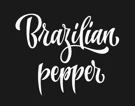 Vector hand drawn calligraphy style lettering word - Brazilian pepper. Stock Illustration