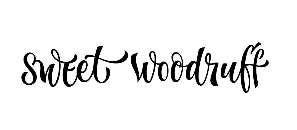 Vector hand drawn calligraphy style lettering word - Sweet woodruff. Stock Illustration
