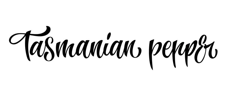 Vector hand drawn calligraphy style lettering word - Tasmanian pepper. Stock Illustration