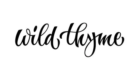 Vector hand drawn calligraphy style lettering word - Wild thyme. Stock Illustration