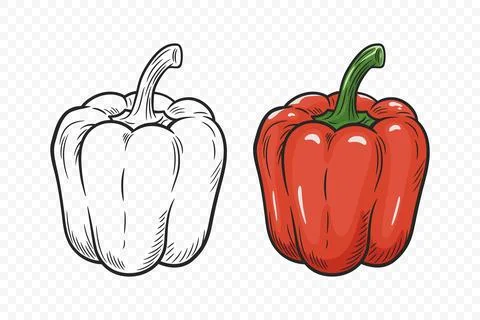 Vector Hand Drawn Cartoon Bell Peppers Set with Outline. Red Sweet Pepper Stock Illustration