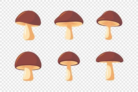 Vector Hand Drawn Cartoon Flat Mushroom Icon Set Isolated. Brown Edible Boletus イラスト素材