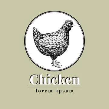 Vector hand drawn chicken illustration. Retro engraving style. Sketch farm Stock Illustration