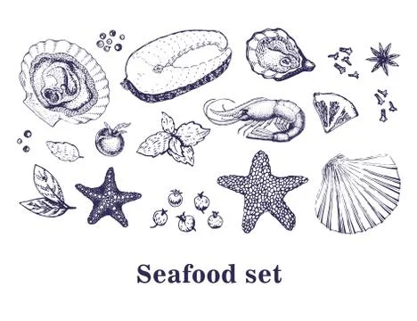 Vector hand drawn collection of seafood Stock Illustration