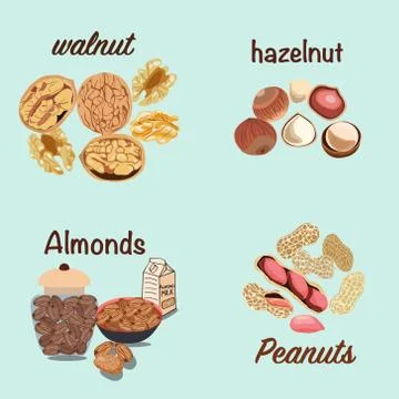 Vector hand drawn colorful set of nuts walnut, Hazelnut, almonds, peanut. Stock Illustration