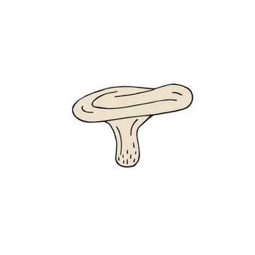 Vector hand drawn doodle colored milk cap mushroom Stock Illustration
