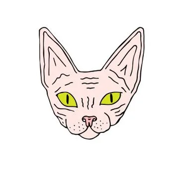 Vector hand drawn doodle colored Sphynx cat face Stock Illustration