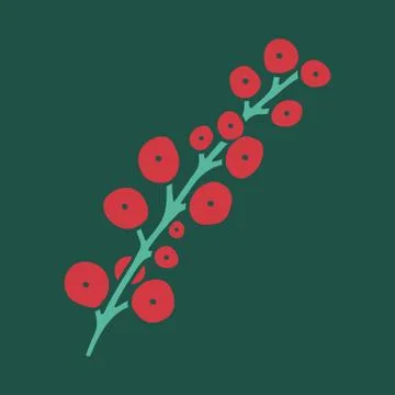 Vector hand drawn doodle illustration of Christmas holly berry Stock Illustration