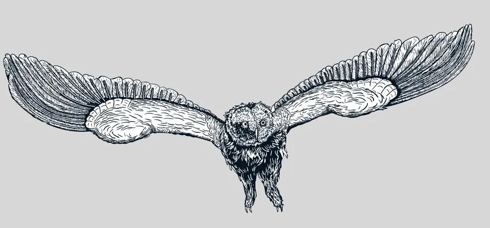 Vector hand drawn doodle owl Stock Illustration